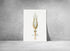 large vintage squid print wall art